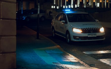 PRINS BEAT ȘI DROGAT FĂRĂ PERMIS: ȘOFERUL A ÎNCERCAT SĂ SCAPE PESTE POARTA CASEI
