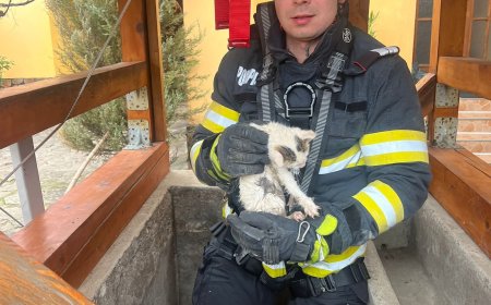 Pisoi salvat dintr-o fântână de cinci metri în Gîrliște după un apel la 112