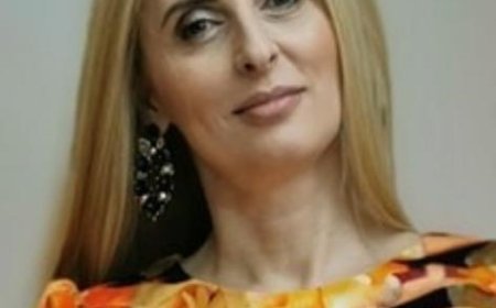 ISJ TIMIȘ ÎI RĂSPUNDE DIRECTORULUI DAN IONICI