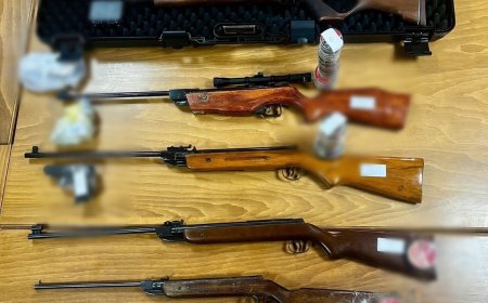15 percheziții în Timiș, într-un dosar privind nerespectarea regimului armelor și munițiilor