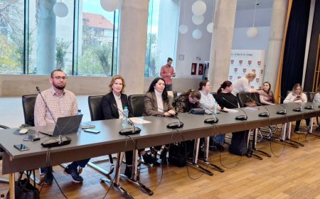 Atelier pentru sprijinirea copiilor afectați de divorț și situații vulnerabile în Timiș