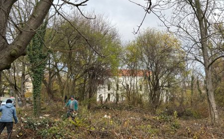 Intervenție în cartierul Lipovei: spațiu public curățat și întreținut de Primăria Timișoara