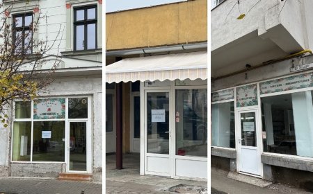 Licitație pentru trei spații comerciale în Timișoara