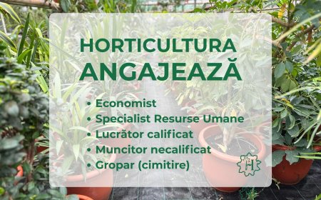 Horticultura angajează personal pentru mai multe posturi