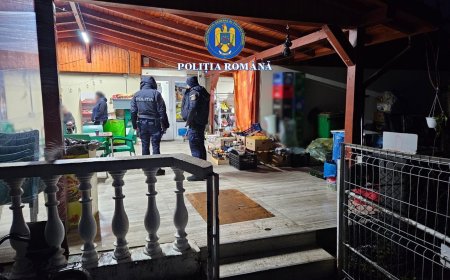 RAZIE ÎN LIPOVA PENTRU SIGURANȚĂ PUBLICĂ ȘI CONTROL RUTIER