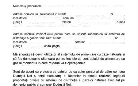 REȚEAUA DE GAZ DIN DUDEȘTII NOI PROGRESEAZĂ, LUCRĂRILE CONTINUĂ ȘI ÎN SEZONUL RECE