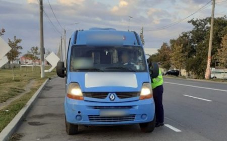 CONTROALE ÎN TRAFIC
