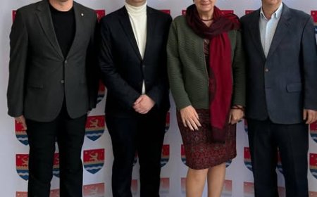 PARTENERIAT PENTRU VIITORUL JUDEȚULUI TIMIȘ