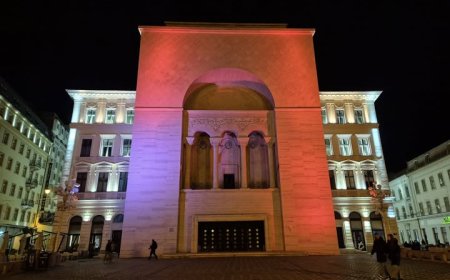 Ziua Internațională pentru Eliminarea Violenței împotriva Femeilor
