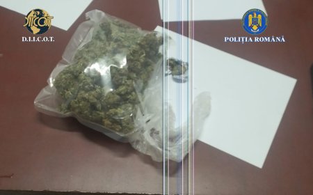 PERCHEZIȚII ÎN CARAȘ-SEVERIN ȘI TIMIȘ, ÎNTR-UN DOSAR DE TRAFIC DE DROGURI