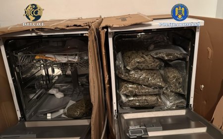 12 PERSOANE CERCETATE PENTRU TRAFIC DE DROGURI ȘI SUBSTANȚE PSIHOACTIVE ÎN TIMIȘ