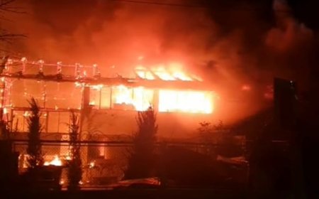 ARD CASE ÎN REMETEA MARE