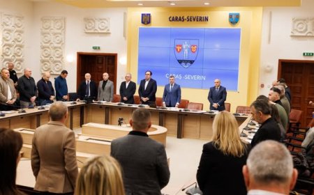 PROIECTE PENTRU CARAȘ-SEVERIN