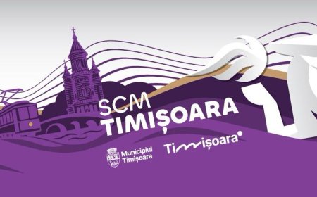 SCM Timișoara vs Dinamo București