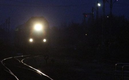 A MURIT LOVIT DE TREN