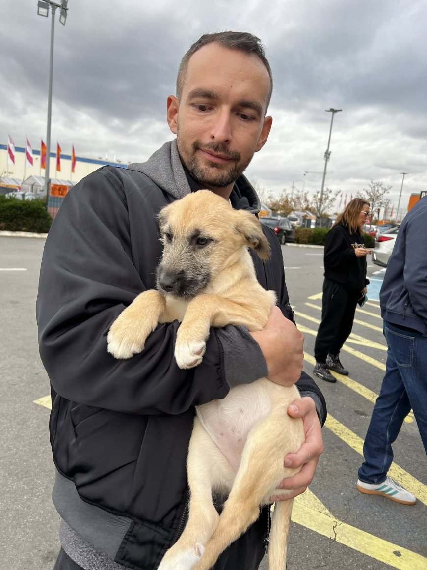 ÎNDUIOȘĂTOR! 10 PUIUȚI DE CÂINI, ADOPTAȚI