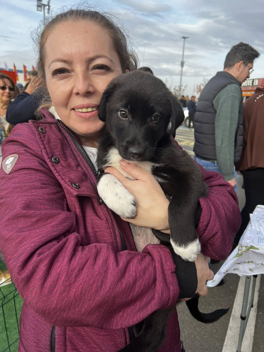ÎNDUIOȘĂTOR! 10 PUIUȚI DE CÂINI, ADOPTAȚI