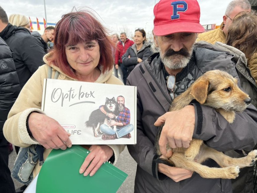 ÎNDUIOȘĂTOR! 10 PUIUȚI DE CÂINI, ADOPTAȚI