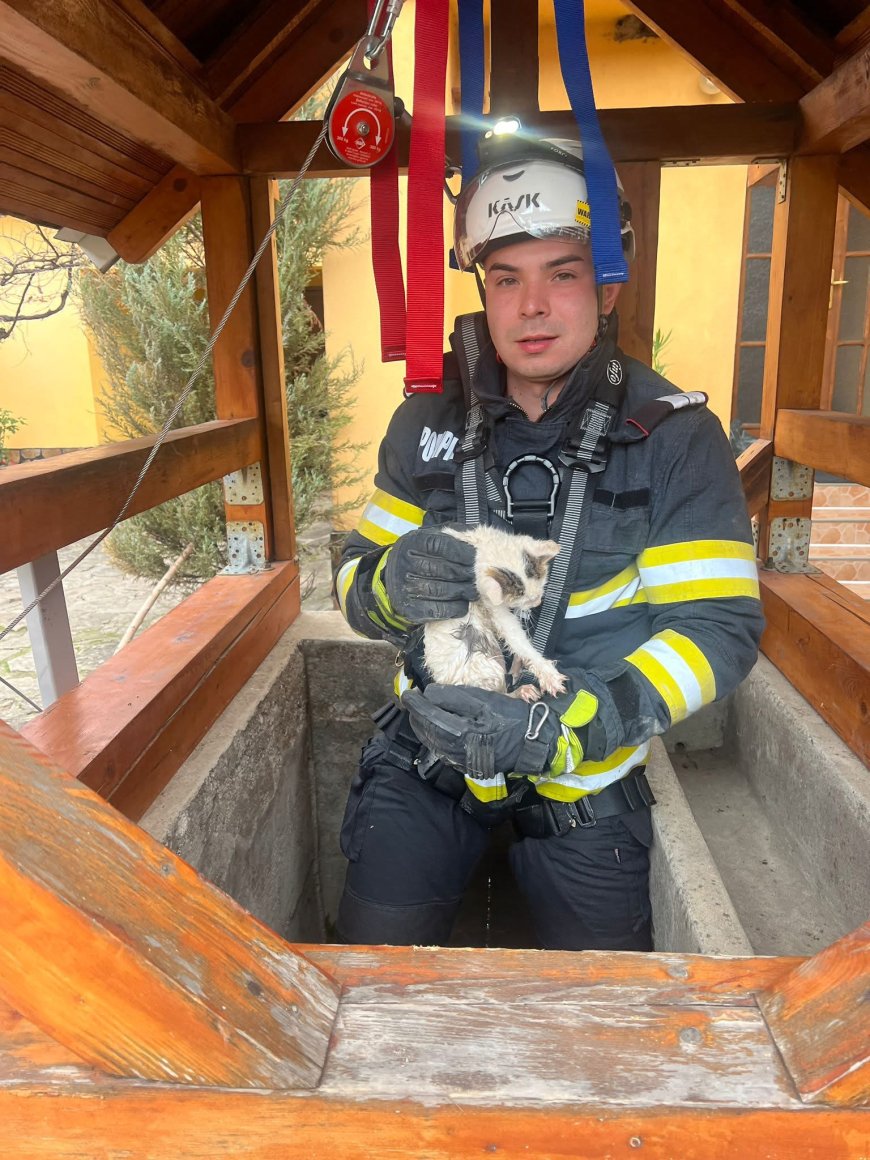 Pisoi salvat dintr-o fântână de cinci metri în Gîrliște după un apel la 112