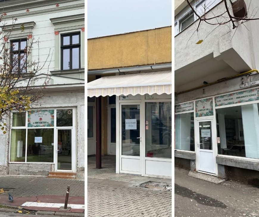 Licitație pentru trei spații comerciale în Timișoara