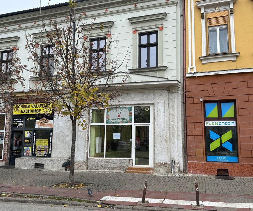 Licitație pentru trei spații comerciale în Timișoara