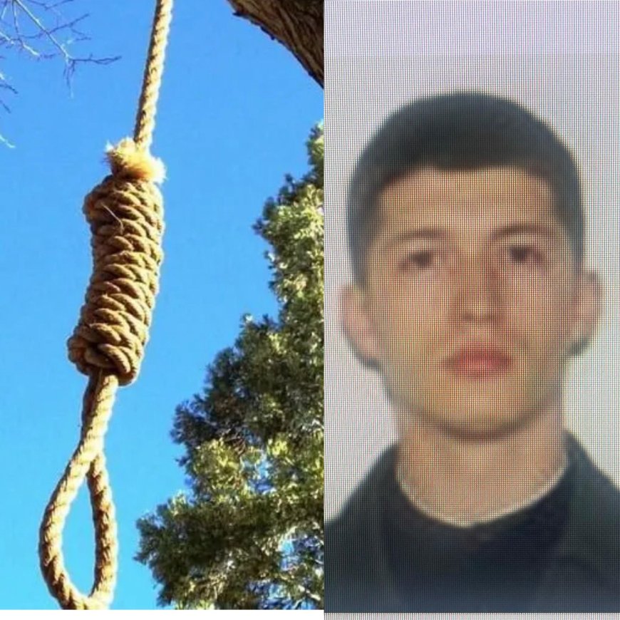 ȘOCANT! S-A SPÂNZURAT DE CREANGA UNUI COPAC