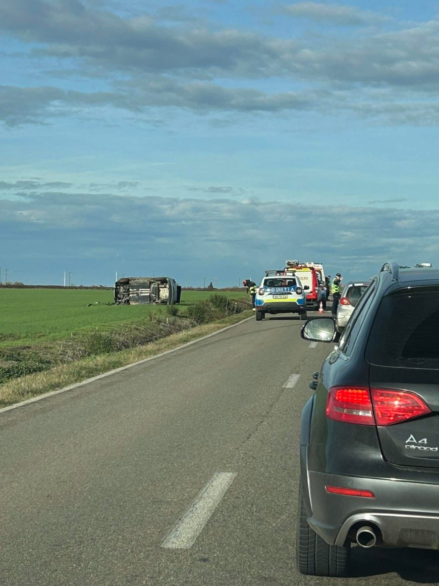 Accident cu doi răniți între Carani și Sânandrei
