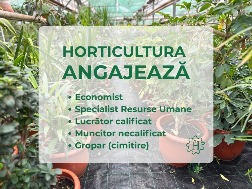 Horticultura angajează personal pentru mai multe posturi