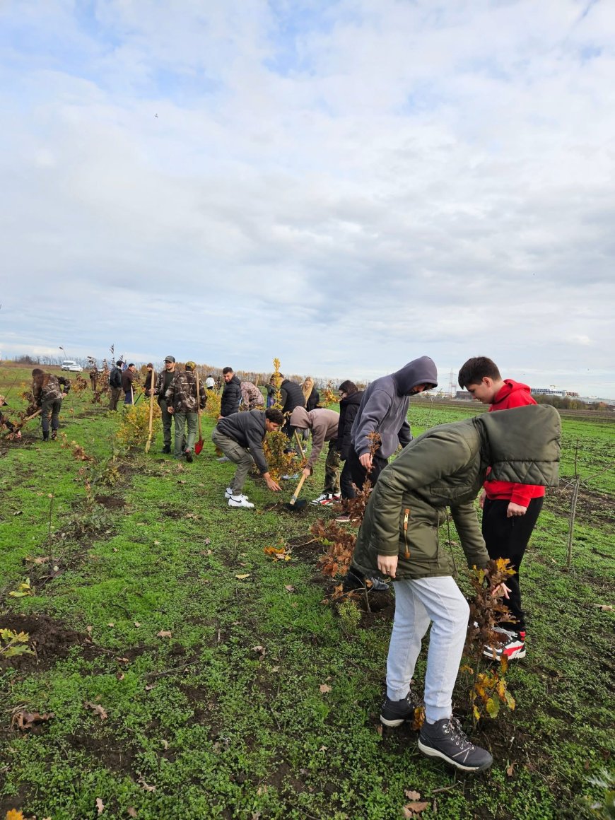 Peste 600 de puieți plantați la Zilele Silviculturii Timișorene
