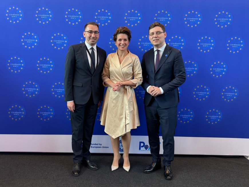 Timișul cere un acces mai simplu la fondurile europene în următoarea perioadă de programare