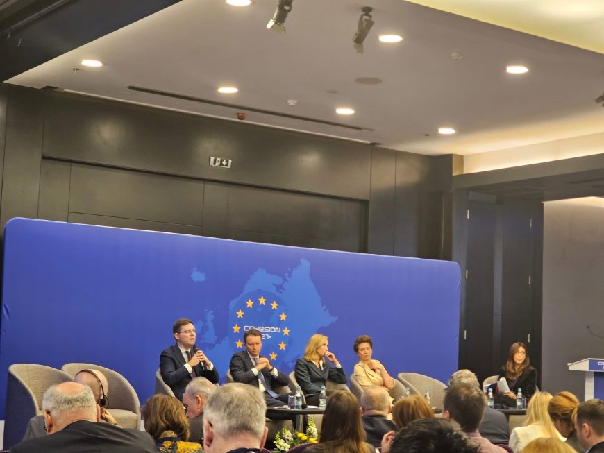 Timișul cere un acces mai simplu la fondurile europene în următoarea perioadă de programare