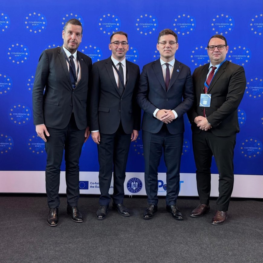 Timișul cere un acces mai simplu la fondurile europene în următoarea perioadă de programare