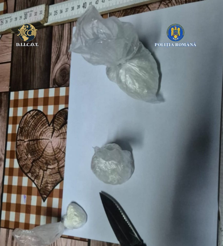 PERCHEZIȚII ÎN CARAȘ-SEVERIN ȘI TIMIȘ, ÎNTR-UN DOSAR DE TRAFIC DE DROGURI