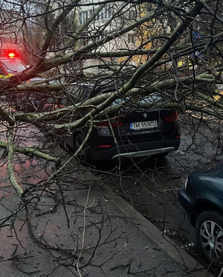 COPAC PRĂBUȘIT PESTE O MAȘINĂ
