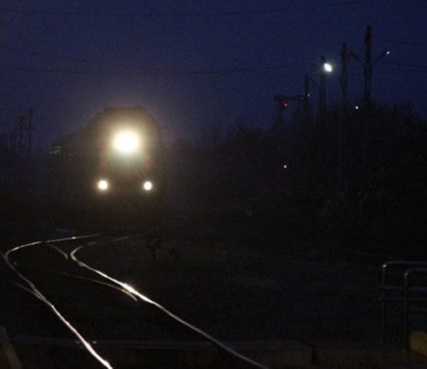 A MURIT LOVIT DE TREN
