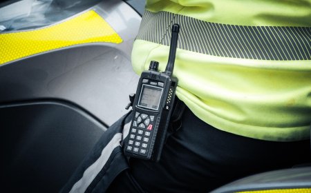 Doi bărbați arestați preventiv pentru violență în familie