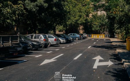Locuri de parcare noi, în zona Take Ionescu – Primăria pregătește proiectul de amenajare