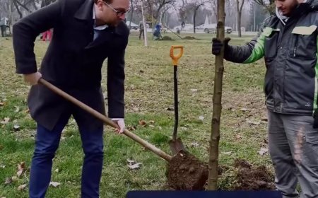 DOMINIC FRITZ, CU LOPATA ÎN MÂNĂ, PENTRU TIMIȘORENI
