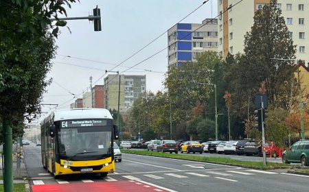 TRANSPORT PUBLIC MAI PREDICTIBIL PE TAKE IONESCU