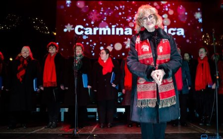 MAGIE ȘI ARTE LA TÂRGUL DE CRĂCIUN DIN PIAȚA VICTORIEI