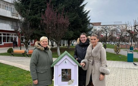 MICUȚA BIBLIOTECĂ” A AJUNS LA OȚELU ROȘU