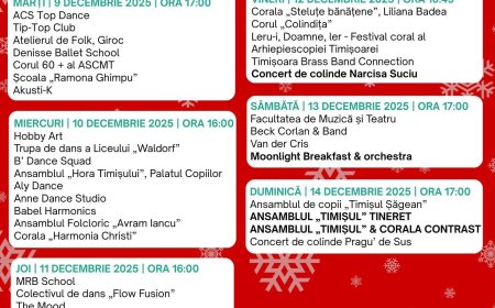 Programul celei de-a doua săptămâni la Târgul de Crăciun Timișoara