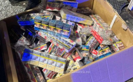 VIDEO| PESTE 54.000 DE ȚIGARETE DESCOPERITE ÎNTR-UN MICROBUZ LA NĂDLAC
