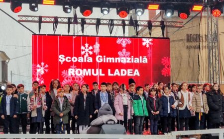 Premii și aplauze pentru elevii de la „Romul Ladea”