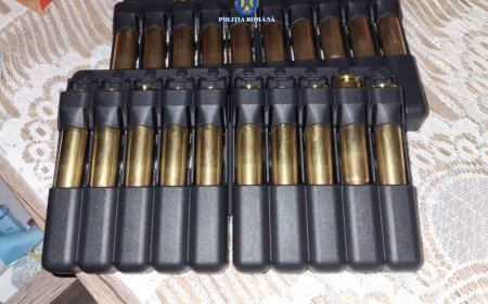 DEȚINEA ILEGAL ARME DE VÂNĂTOARE