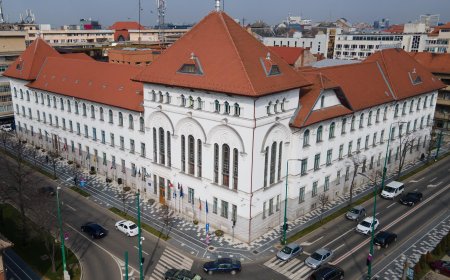 PROGRAM DE SĂRBĂTORI LA PRIMĂRIA TIMIȘOARA