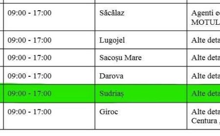 UN SAT DIN TIMIȘ A RĂMAS PARȚIAL FĂRĂ CURENT
