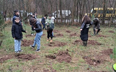 Acțiune de plantare cu elevii din Timiș