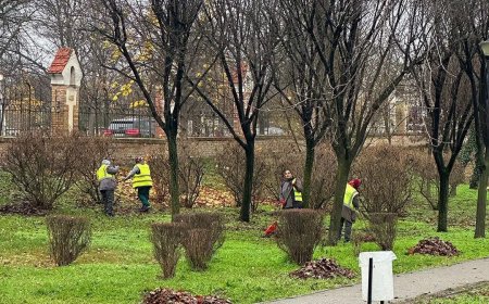 Horticultura continuă plantările și întreținerea spațiilor verzi