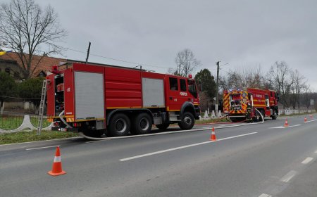 INCENDIU DEVASTATOR LA LUGOJ